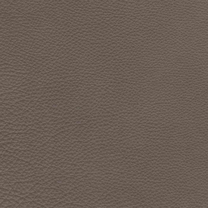 Antonio Turtle Dove Leather - Stickley Furniture | Mattress