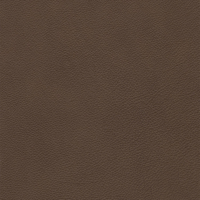 Bianca Toast Leather Swatch