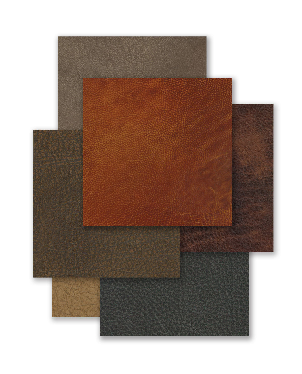 Leather swatches of varying colors