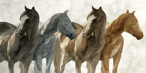 Cavallo Canvas - Stickley Furniture | Mattress