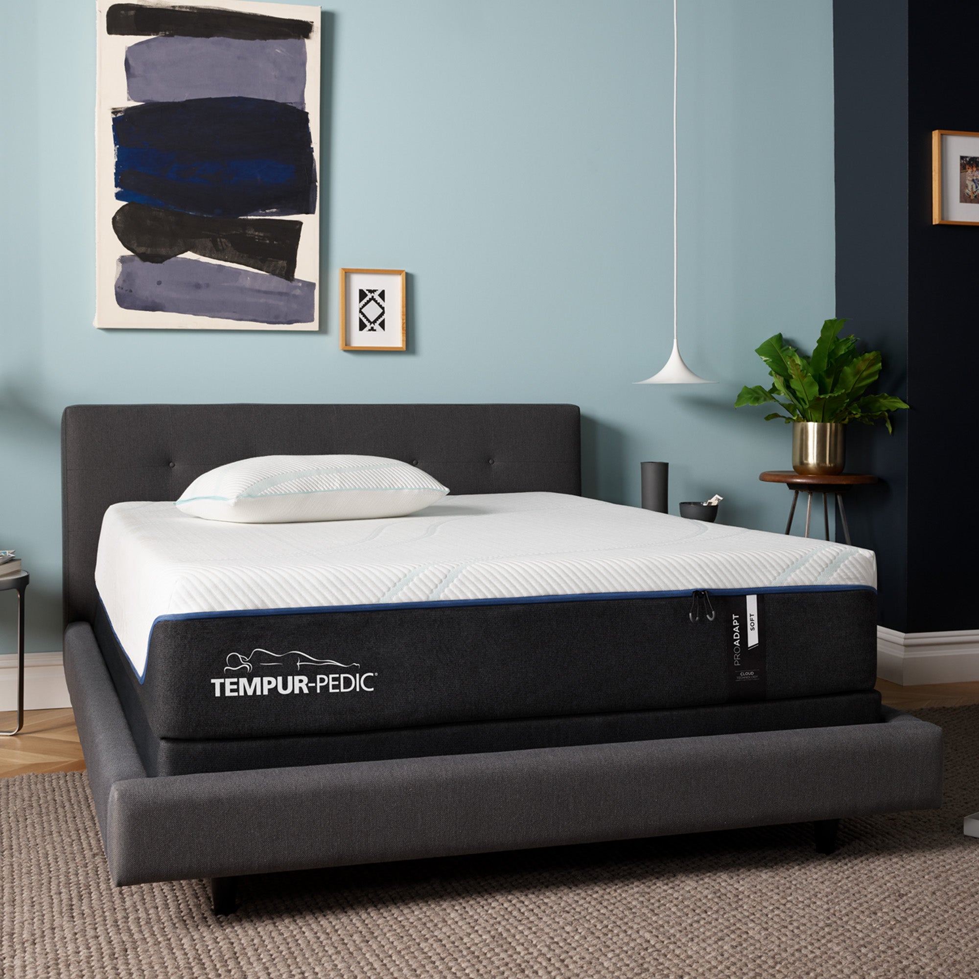 Soft memory online foam bed